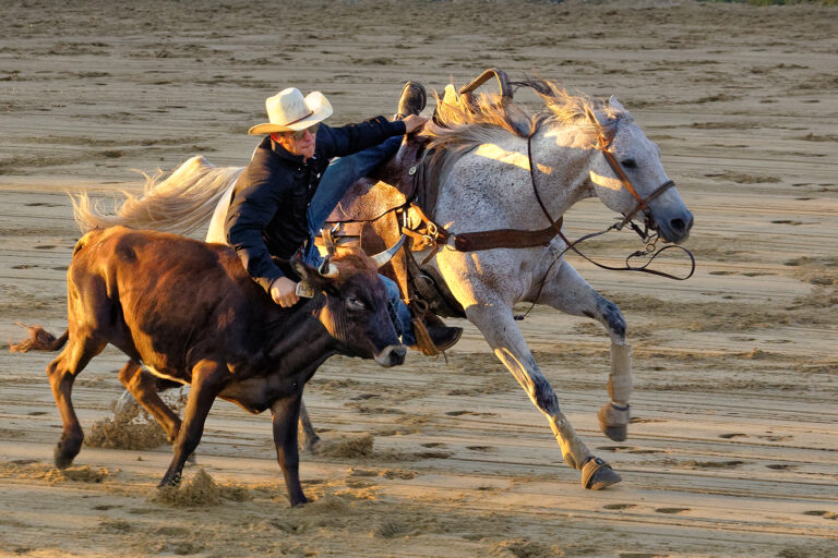 Volker Meinberg - Cowtown-Rodeo-01